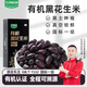 九月的詩(shī)東北有機一級生黑花生米300g生吃黑皮新貨去殼可即食用 有機黑花生米300g*1盒