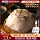海文銘 黃金鮑螺片300g 貝類海鮮水產(chǎn)加熱即食鮑螺片