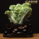 伯莎丹頓天然玉石白菜擺件客廳電視柜玉器岫玉雕刻工藝禮品辦公室桌面擺設 白菜總高35寬31厚16CM