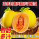 正宗甘肅民勤蜜瓜沙漠黃河蜜新鮮金紅脆寶糖心甜香瓜頭茬當(dāng)季整箱 2-3斤