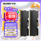 光威（Gloway）32GB(16GBx2) DDR4 4000 臺式機內(nèi)存條 龍武 馬甲條 海力士CJR CL19 星空黑
