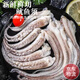 新鮮速凍魷魚(yú)須燒烤海鮮食材新鮮魷魚(yú)須非章魚(yú)須冷凍二本足鐵板 新鮮速凍魷魚(yú)須燒烤 500g(凈重)  魷魚(yú)須500g*2包