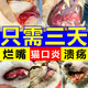 貓咪口腔消炎噴劑貓咪嘴唇潰瘍口炎流口水特效寵物狗狗牙齦消炎 【多寵家庭裝】50ml*3瓶