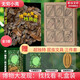 博物大發(fā)現 找找看 禮盒裝 昆蟲記動物大百科自然昆蟲觀察筆記 無窮小亮張辰亮唐志遠 高清精美昆蟲大片 最美的法布爾昆蟲記 超大開本 6-12歲中小學生兒童科普暑期閱讀 新華正版 【專屬文具三件套】博物