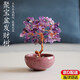鹿色天然紫黃水晶發(fā)財樹(shù)聚寶盆擺件車(chē)載中控辦公室工位桌面家居裝飾品 紫水晶招財樹(shù)【紫氣東來(lái)】
