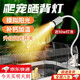星舵烏龜曬背燈燈巴西龜守宮照背燈倉鼠爬寵加熱器補(bǔ)鈣日光燈蜥蜴 烏龜曬背燈