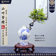 潮裕盆景小葉紫檀盆景老樁植物室內(nèi)造型綠植擺件造景庭院客廳玄關(guān)辦公好養(yǎng) 桌面小葉紫檀盆景40 高端盆景/一物一拍