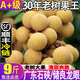 A佳【順豐包郵】石硤龍眼新鮮現(xiàn)摘5斤廣東儲良石硤鮮桂圓當(dāng)季水果整X 凈重4.5斤石硤龍眼 順豐+現(xiàn)摘