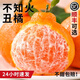 四川不知火丑橘水果整箱杷杷正宗水果新鮮整箱當(dāng)季丑桔橘柑5/10裝 【大大果】人氣爆賣 3斤凈