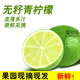 福仙品青檸檬塔西提無籽檸檬薄皮多汁新鮮水果檸檬新鮮采摘小青檸檬 無籽青檸檬  1斤(約6-12個) 中小果（單果40-60g）