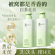 ALGN洗發(fā)水男女士控油蓬松去屑止癢洗頭膏洗發(fā)露持久留香72小時香體 【熱銷爆款】山茶花洗發(fā)水750ml