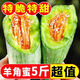 山東新鮮羊角蜜甜瓜新鮮水果孕婦當(dāng)季脆甜蜜瓜脆瓜香瓜羊角脆整箱 帶箱5斤裝【中果】現(xiàn)摘脆甜