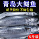 賣(mài)魚(yú)七郎【開(kāi)海新貨】賣(mài)魚(yú)七郎大鲅魚(yú)新鮮活鮐鲅魚(yú)馬鮫魚(yú)整條冷凍青花魚(yú) 600g/條【開(kāi)海新貨】 1條【新鮮捕撈 船凍鎖鮮】