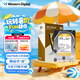 西部數(shù)據(jù)（WD）1TB 企業(yè)級機(jī)械硬盤 WD Gold 西數(shù)金盤 SATA 7200轉(zhuǎn)128MB CMR垂直 服務(wù)器硬盤 3.5英寸WD1005VBYZ