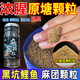 沾麻團顆粒腥香麻團顆粒鯉魚(yú)草魚(yú)顆粒沾麻團顆粒偷驢回鍋魚(yú)顆粒 1瓶【黑坑專(zhuān)用餌】一聞就來(lái)