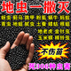 艾尚棵菜地殺蟲專用防蟲顆粒青菜辣椒菜園子百蟲清地上地下害蟲全滅肥料 1桶【害蟲一撒就死】