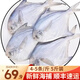 漁游記 鯧魚(yú)青島銀鯧魚(yú)海捕小白鯧魚(yú)新鮮冷凍海平魚(yú)昌魚(yú)速凍海鮮水產(chǎn) 4-5條/斤  五斤家庭款