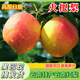 果益壽 正宗云南紅梨火把梨小酥梨酸甜現(xiàn)摘應(yīng)當(dāng)季新鮮孕婦水果梨子香梨 3斤 中小果【單果120-150g】