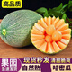 山東直發(fā)哈密瓜新鮮整箱 西洲蜜瓜當(dāng)季水果甜冰淇淋蜜瓜整箱 5斤(凈重4-5斤)2-3個 超值裝
