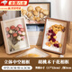 TMJD MISS立體干花相框中空3cm貝殼標本永生花植物裝裱畫(huà)框擺臺生日禮物 胡桃木8寸中空3cm 【17*22cm】