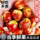 粵迎正宗陜西大荔冬棗新鮮水果當(dāng)季整箱大棗子脆甜多汁冰糖冬棗整箱 5斤手挑果【脆甜多汁】?jī)?.5斤