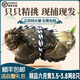 【活蟹】陽(yáng)澄總管大閘蟹 鮮活大螃蟹可全母蟹 海鮮水產(chǎn)生鮮禮盒 精品六月黃全母3.5-3.8兩4對(duì)8只