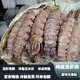 皮皮蝦純肉新鮮爬蝦肉蝦姑肉琵琶蝦餃子陷蝦肉蝦爬子海鮮真空 純肉皮皮蝦 500g(凈重)  【現剝純肉】2斤裝