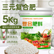 金雅特復(fù)合肥料瓜果蔬菜農(nóng)用化肥三元復(fù)合肥有機(jī)肥種菜養(yǎng)花氮磷鉀肥10斤