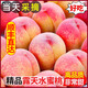 同甘園水蜜桃 現(xiàn)摘新鮮當(dāng)季應(yīng)季時(shí)令水果整箱山西桃子脆甜軟硬兩吃 整箱5斤 約14-16個(gè) 凈重4.5斤