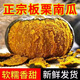 金百粟甘肅沙漠板栗南瓜 老南瓜板栗味新鮮蔬菜寶寶粉糯香甜農(nóng)家自種 精選 9斤 凈重8.5斤【粉糯香甜】