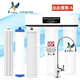 FaireyFairey道爾頓凈水器通用F-IP 301原裝家用直飲廚房高端配件凈水器 (FIP-301)單機單濾芯