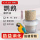 AITAR愛特爾鸚鵡碘鈣塊土礦物質(zhì)營養(yǎng)微量元素保健砂磨牙磨嘴磨喙啃咬玩 1塊