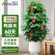 愛優(yōu)尚八方來財(cái)鴨腳木客廳大型綠植盆栽室內(nèi)吸甲醛喬遷發(fā)財(cái)樹源頭直發(fā)