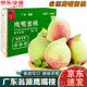南步廣東翁源鷹嘴桃【JD速發(fā)】韶關(guān)特產(chǎn)脆桃水蜜桃密毛桃新鮮水果禮盒 鷹嘴桃 3斤中果【15-20個(gè)】