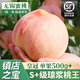 山姆大叔 江蘇無錫陽山鎮(zhèn)水蜜桃【JD順豐-多地次日達】桃子水果禮盒物品 瓊漿桃王｜8枚裝 單果7-8兩 【自吃推薦-鎖鮮裝】顆顆精品