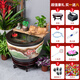 萬(wàn)益宏景德鎮陶瓷魚(yú)缸大缸流水噴泉金魚(yú)缸加濕造景荷花缸擺件烏龜睡蓮缸 黑釉荷花+黃色陶罐流水器 40x40x25cm