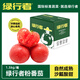 綠行者（GREER）沙番茄果沙瓤生吃番茄 自然熟新鮮水果蔬菜 硬粉番茄 4.5斤
