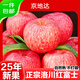 京地達蘋(píng)果水果洛川紅富士蘋(píng)果凈重4.5斤單果200g+整箱中秋水果源頭直發(fā)