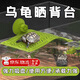 MDUG烏龜曬背臺(tái)烏龜曬臺(tái)爬臺(tái)烏龜休息平臺(tái)龜缸造景浮島高底水位通用架 綠色 大號(hào)