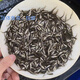 雜魚口糧小魚食品龍魚活體飼料魚苗麥穗魚喂烏龜喂六角放生 1-2厘米飼料魚50條送10%運損