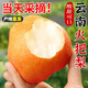 云南高原紅梨酸甜火把梨大果新鮮梨子蘋果梨酥梨水果9斤香梨 新鮮 5斤裝 小果100-130g