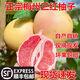 益壹宜伊正宗廣東梅州三紅柚子現摘現發(fā)生鮮紅柚水果 10斤