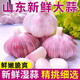 特級(jí)2025年新鮮大蒜頭山東金鄉(xiāng)鮮蒜紫皮大蒜腌制現(xiàn)挖嫩蒜濕蒜生蒜 5斤 大果【50mm-60mm】