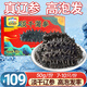 三只海豚干海參 大連海參干貨淡干遼參刺海參國標(biāo)高泡發(fā)海產(chǎn)7-10只/50g