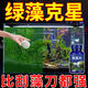 玖龍臺魚缸除藻劑去苔劑凈青苔清除劑褐藻去除神器綠水綠藻絲藻克星專用 高分子濃縮【 100片 1瓶 】綠藻不再生