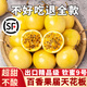 愛鮮摘農(nóng)場廣西欽蜜9號黃金百香果【順豐圓通-多地隔日達(dá)】白香水果禮盒中秋 A+級｜單果60g-70g【狠甜】 精選果丨5斤【80%選擇-超值】凈4.5