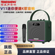 TEMEISHENG V11便攜式K歌藍(lán)牙音箱 迷你小音箱帶話筒 戶外手提無線藍(lán)牙音響 KTV唱歌直播廣場舞叫號叫賣擺攤 V11:常翠綠+無線話筒*1