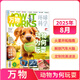 7-8月現(xiàn)貨 萬物雜志2025年訂閱 8-15歲青少年科學(xué)科普 3D圖解知識(shí) 中小學(xué)生課外科普百科通識(shí)知識(shí) How it works 中文版期刊單月/半年/全年少兒閱讀雜志鋪環(huán)球科學(xué)青少年版非英文版 