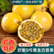 桃西村海南欽蜜9號百香果【順豐到家】黃金百香果西番蓮蜂蜜新鮮水果2斤 精選中果【單果60-70g】