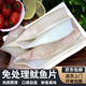 新鮮大魷魚(yú)免處理魷魚(yú)片八爪魚(yú)章魚(yú)尾燒烤火鍋食材 1斤大魷魚(yú)片(去頭去內臟)